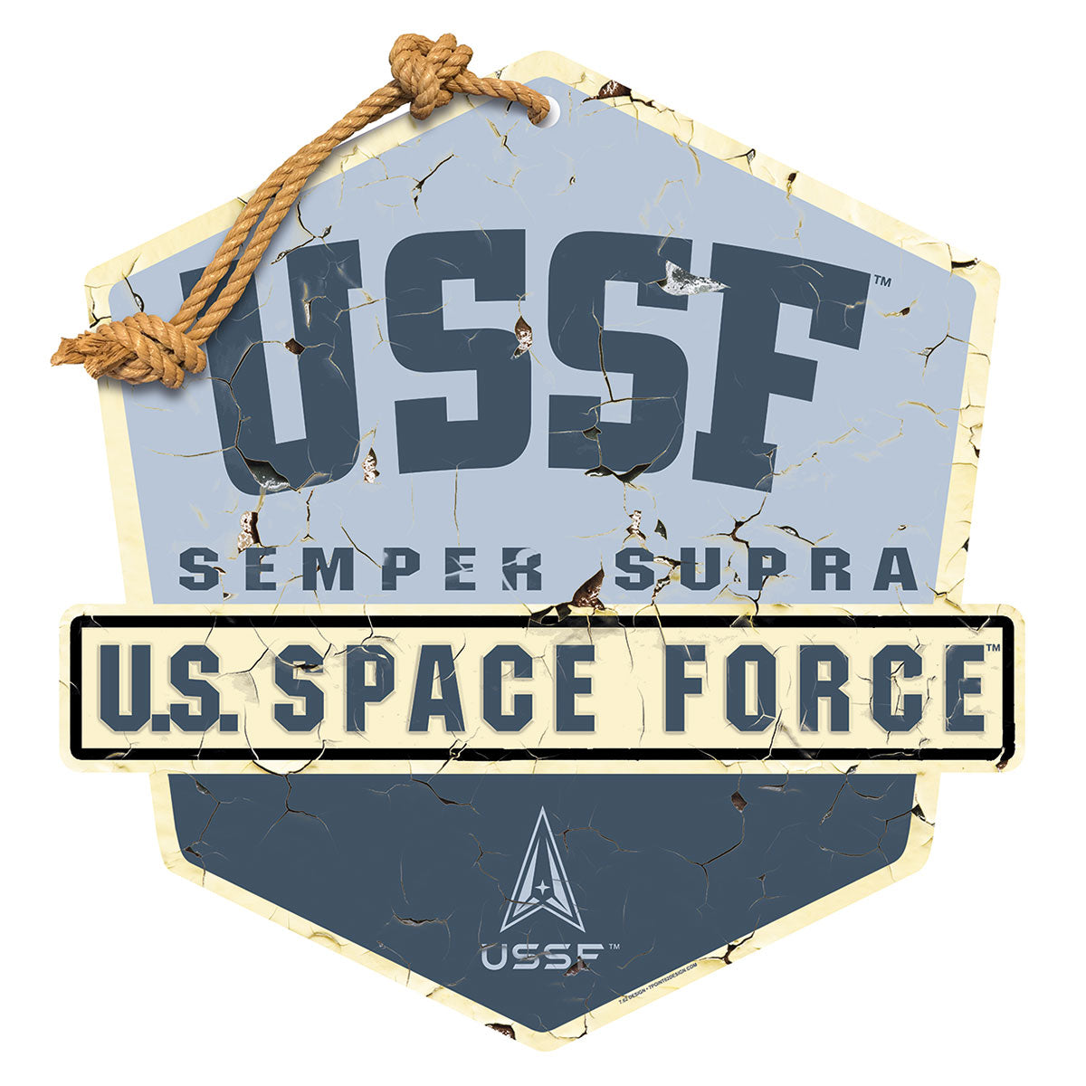7.62 Design USSF Badge Targa parete MDF 50x50 cm corda