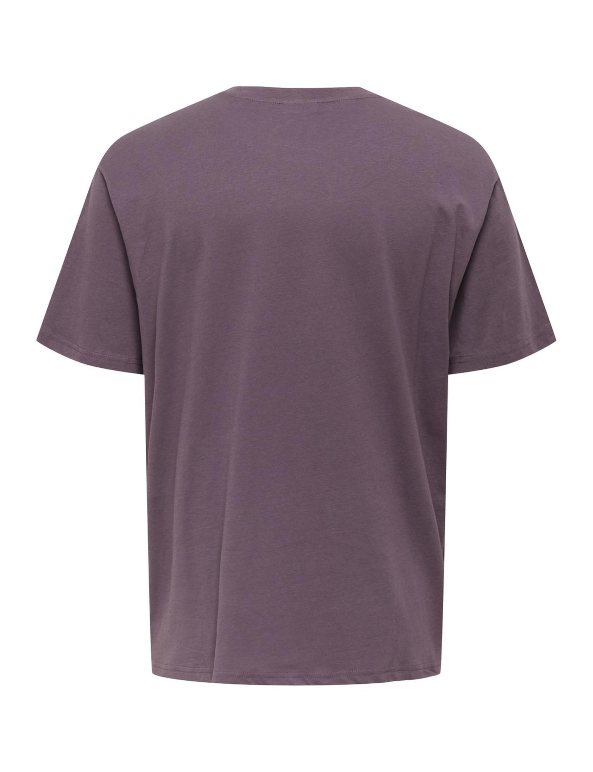 Only & Sons Onsbeane Rhaba SS RLX Tee maglietta uomo flan