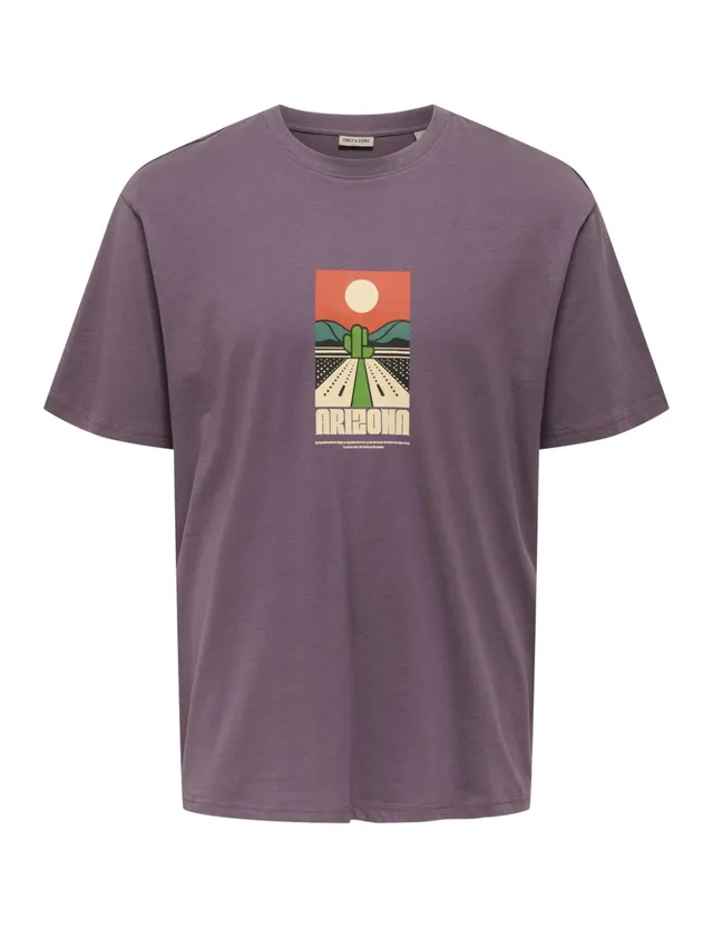 Only & Sons Onsbeane Rhaba SS RLX Tee maglietta uomo flan