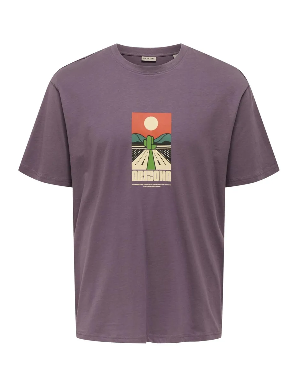 Only & Sons Onsbeane Rhaba SS RLX Tee maglietta uomo flan