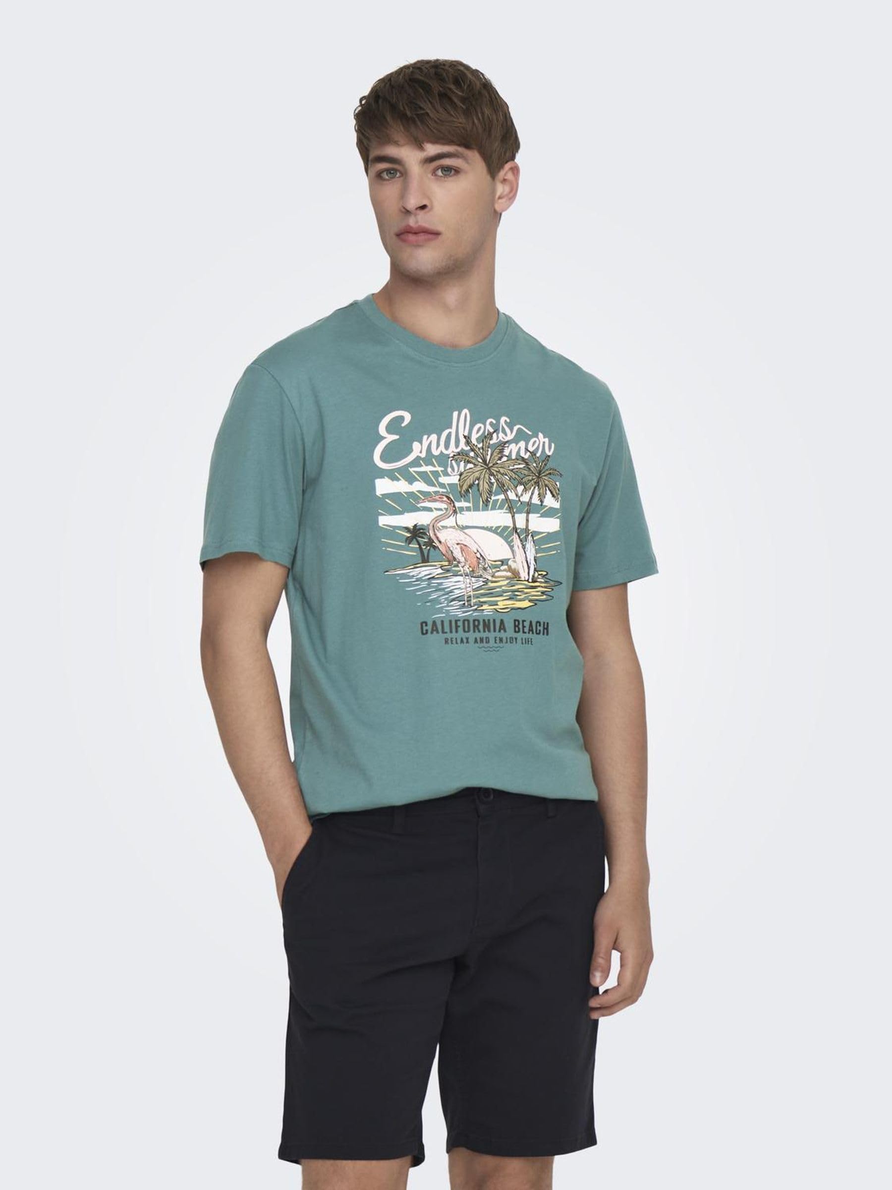 Only & Sons Onsalberto T-shirt cotone girocollo XL