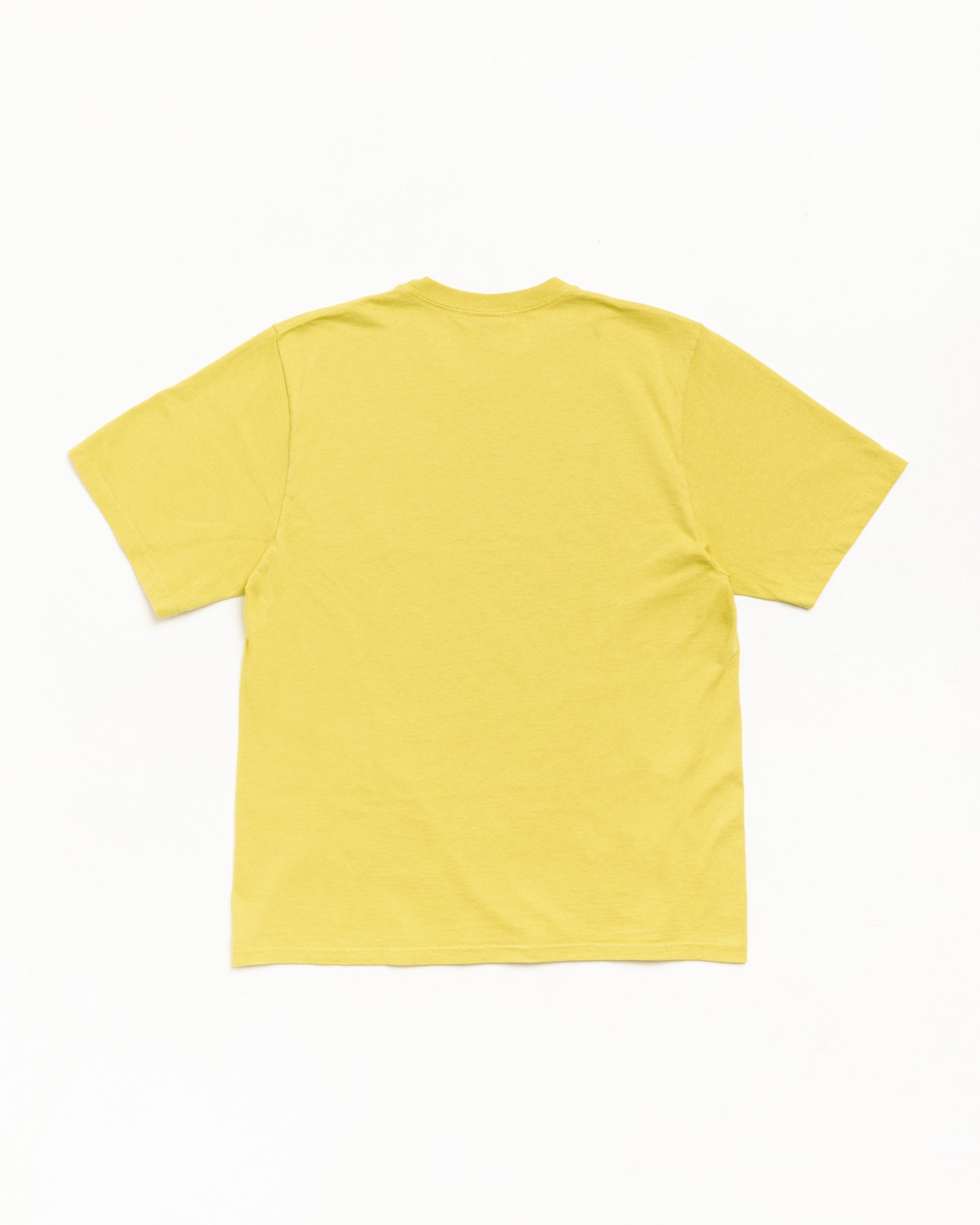 Stussy Garment Co. Tee Maglietta Palm Pigment Dyed Cotone