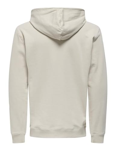 ONLY & SONS Onsdavid Reg Hoodie felpa blu argento