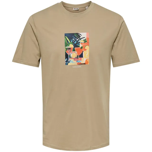 Only & Sons Stillo Life Regular SS t-shirt marrone cotone