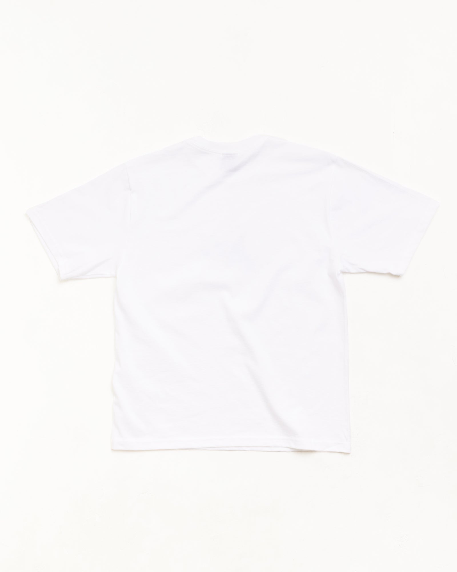 Stussy Fly Gear Tee t-shirt bianca cotone 100% relaxed fit