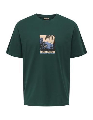 Only & Sons Onsbeane Rhaba SS RLX Tee maglietta uomo flan