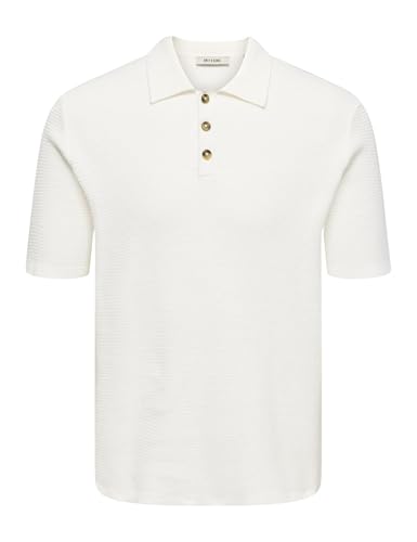 Only & Sons Onseric Reg 12 Struc SS Polo Uomo Argento