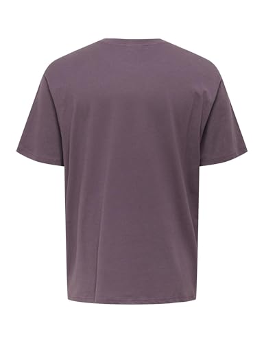 Only & Sons Onsbeane Rhaba SS RLX Tee maglietta uomo flan