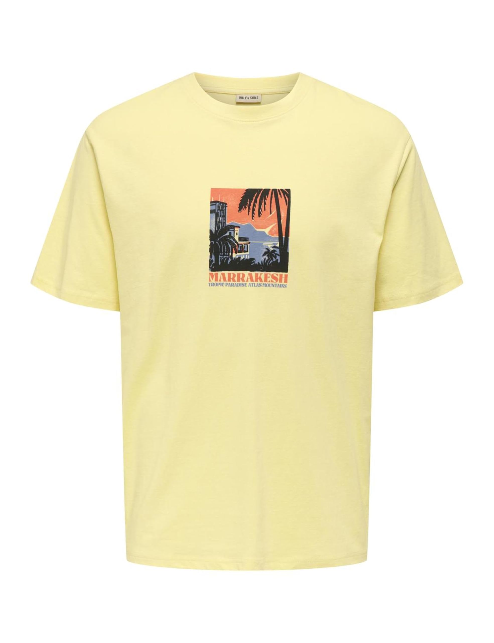 Only & Sons Onsbeane Rhaba SS RLX Tee maglietta uomo flan
