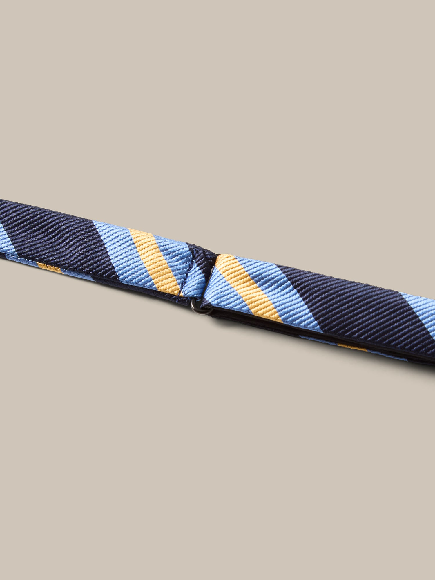 Robert Talbott Bond Papillon Blu Multi Seta