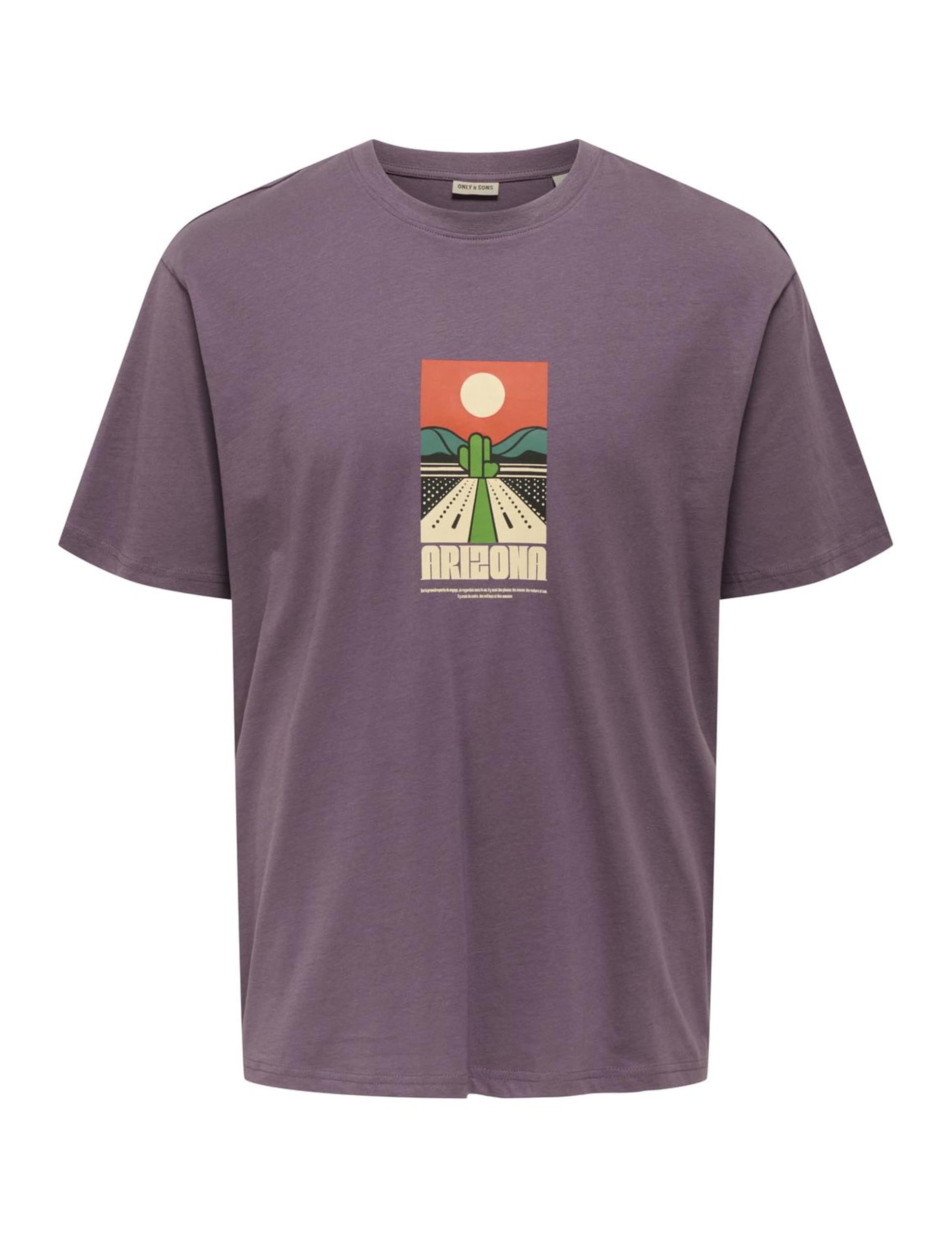 Only & Sons Onsbeane Rhaba SS RLX Tee maglietta uomo flan