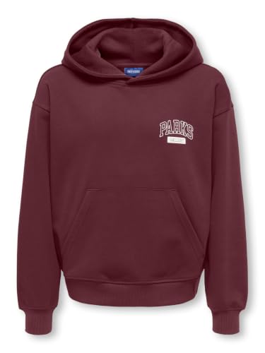 Only & Sons OSJTurner felpa con cappuccio 158 Pine Grove