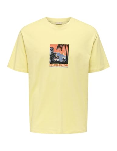 Only & Sons Onsbeane Rhaba SS RLX Tee maglietta uomo flan