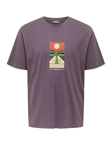 Only & Sons Onsbeane Rhaba SS RLX Tee maglietta uomo flan