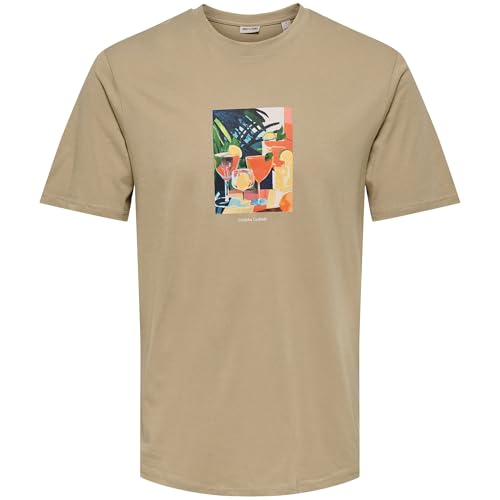 Only & Sons Stillo Life Regular SS t-shirt marrone cotone